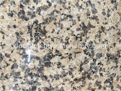 新卡麥, 菊花黃, 世紀金麻 , 桃花紅(G687), 金鉆麻, 井岡紅, 芝麻灰(G633)圖片, 新卡麥, 菊花黃, 世紀金麻 , 桃花紅(G687), 金鉆麻, 井岡紅, 芝麻灰(G633)產品圖片 - 德興市東泰石材