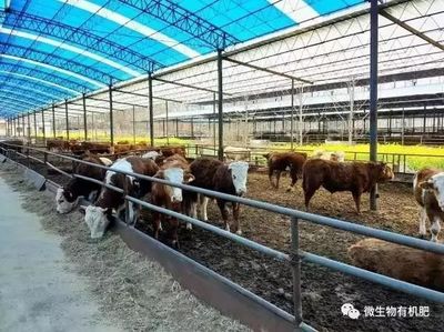 這五類農(nóng)業(yè)廢棄物有望變廢為寶!_財(cái)經(jīng)_網(wǎng)