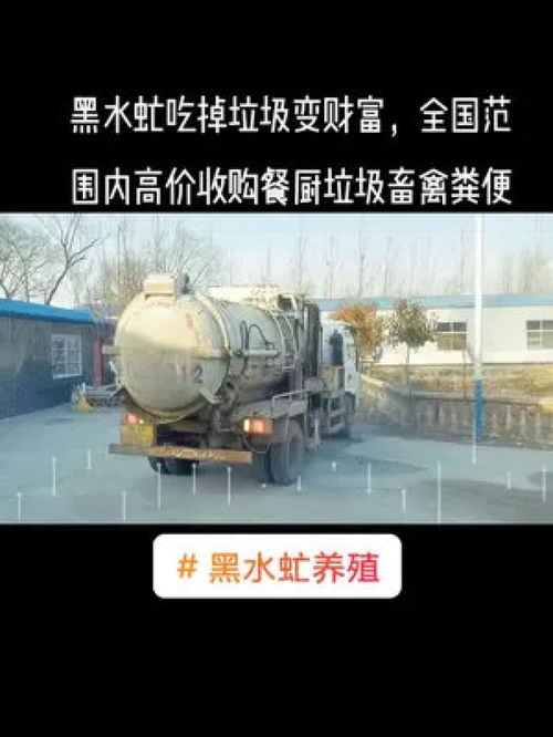循環(huán)農(nóng)業(yè) 黑水虻吃掉垃圾變財(cái)富,全國(guó)范圍內(nèi)高價(jià)收購(gòu)餐廚垃圾畜禽糞便 黑水虻