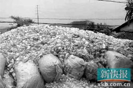 廣東揭西10噸未經處理醫(yī)療垃圾藏于深山老林