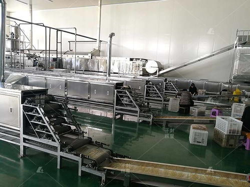 選購自動化粉皮機開辦粉皮加工廠離不開這三大支持